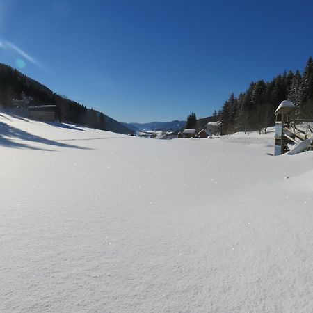 Studio La Résilience, au pied des pistes à Autrans Esterno foto